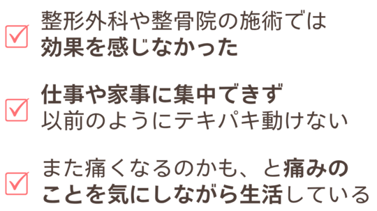 BIO-KINETICS セミナー資料日本語！カイロ神経学！レアテクニック！整体 BIO-KINETICS セミナー資料日本語！カイロ神経学！レアテクニック